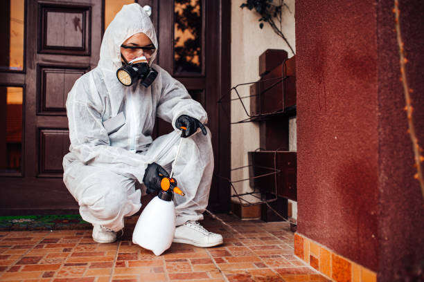 Reliable Cockroach Control contractor in Mount Pleasant, SC by Nex Pest Control