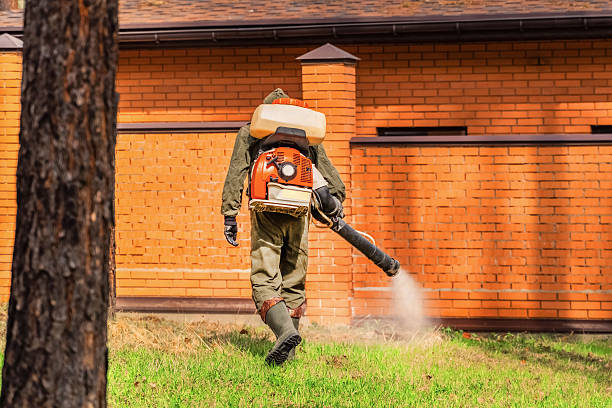 Trusted Cockroach Control service in Mount Pleasant, SC - Nex Pest Control
